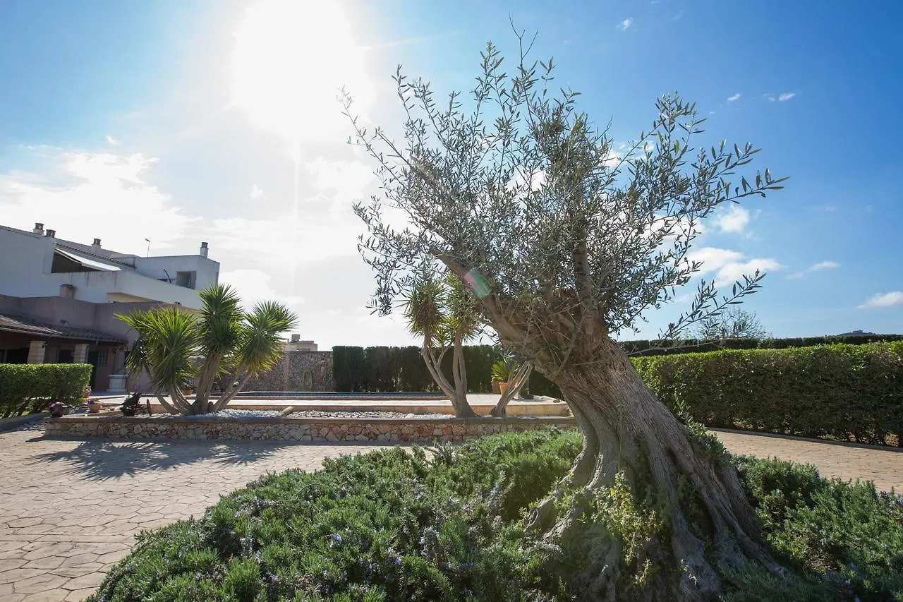 Villa Buenos Aires Manacor  Spanien